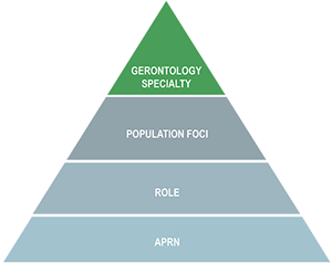 The APRN Consensus Model Pyramid
